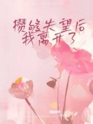 《攒够失望后，我离开了》新书在线阅读