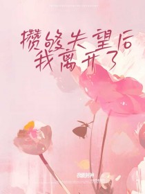 《攒够失望后，我离开了》新书在线阅读|江夜罗佳完结版