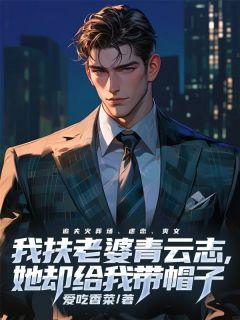 《我扶老婆青云志，她却给我带帽子》宋奕林妙言|宋奕林妙言小说完结