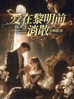 《爱在黎明前消散》小说全文在线阅读|沈念心林与琛小说全文