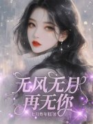 无风无月再无你的小说主角是江冕颜漫漫