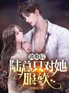 《离婚后，陆总只对她服软》小说章节目录免费试读|江暖陆司聿小说阅读