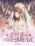 《金丝雀的一百个逃跑方式》小说章节列