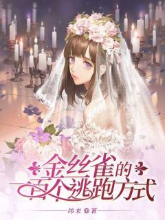 《金丝雀的一百个逃跑方式》小说章节列表在线试读|霍焱遇冰姐小说全文