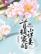 《首辅家的小悍妻》小说目录在线阅读