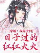 《穿越：我靠空间日子过的红红火火》完