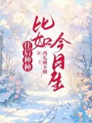 《往后种种，比如今日生》免费阅读|林芊