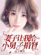 主角秦锋萧琴的小说名字|《妻子让我给小