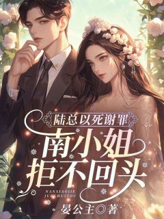 南笙陆时宴做主角的小说|南笙陆时宴是什么小说里面的主角