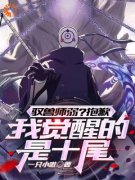 江安宋婉清是哪本小说主角|江安宋婉清是