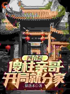 四合院：傻柱亲哥，开局就分家何雨强傻柱小说免费试读全文章节目录精彩章节