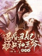 季玥汐迟景瑜小说已完结|《退婚丑妃被战