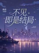 《不见即是结局》无广告阅读|主角周安乐