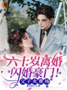 《六十岁离婚闪婚豪门！父子火葬场》小